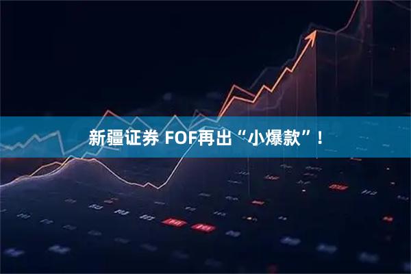 新疆证券 FOF再出“小爆款”！