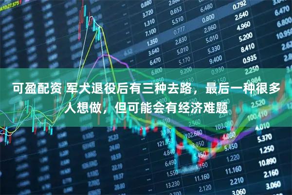 可盈配资 军犬退役后有三种去路，最后一种很多人想做，但可能会有经济难题